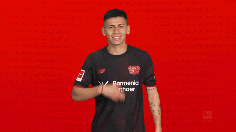 Bayer Leverkusen GIF by Bundesliga