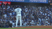 World Series Sport GIF by MLB