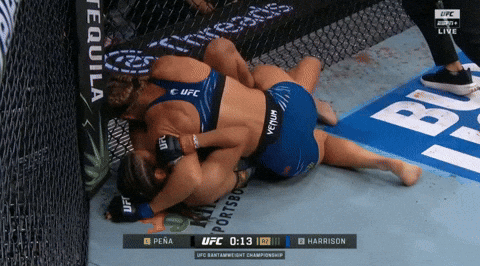 giphy.gif