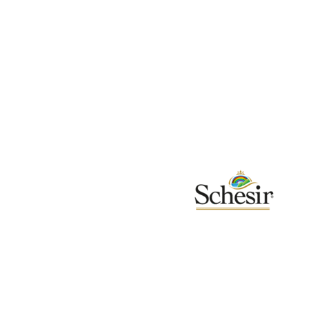 Schesir giphyupload cat dog pet Sticker