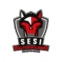 Paralímpico Sticker by Sesi São Paulo