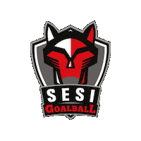 Paralímpico Sticker by Sesi São Paulo