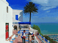 bou GIF