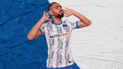 Bundesliga Berlin GIF by Hertha BSC