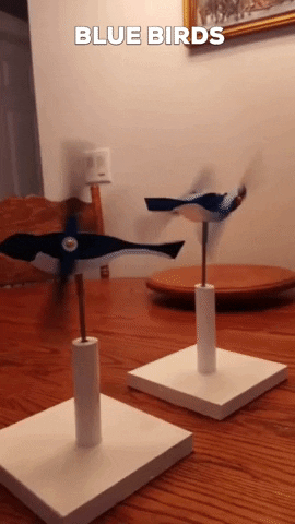everything-social-media giphygifmaker regina saskatchewan kites GIF