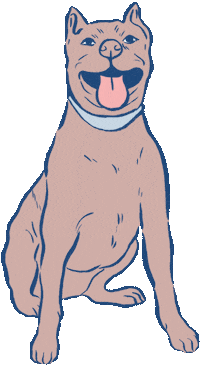 Spot Sticker by Dog Spotted