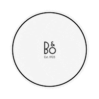 지드래곤 Pmo Sticker by Bangolufsenkr
