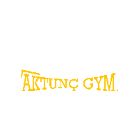 Boxing Kickboxing Sticker by aktunç gym