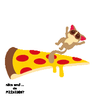 nikoand_official bushbaby ニコアンド nikoand pizzatoru Sticker