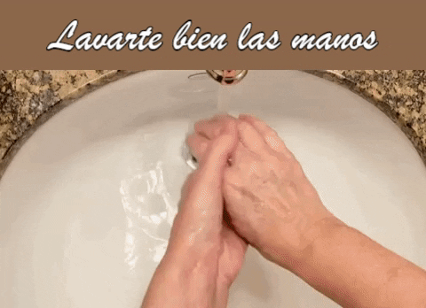 rosytorres giphygifmaker coronavirus agua mano GIF