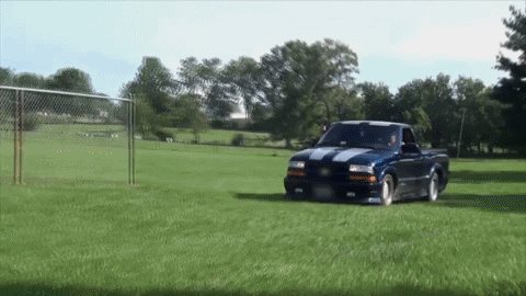 giphy.gif