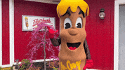 Hang Loose Corn Dog GIF by Fletcher’s Corny Dogs