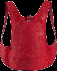 arsayo fashion vegan backpack crueltyfree GIF