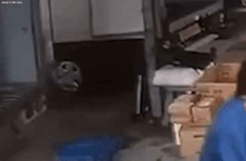 insight_newsroom giphyupload GIF