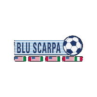 Bluscarpacalcetto Sticker by Blu Scarpa