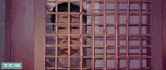 Marlon Brando Classic Hollywood GIF by Turner Classic Movies