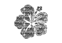 Domaniix Sticker