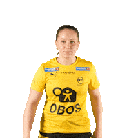 Toppserien Forza Birdsa Sticker by LSK Kvinner FK