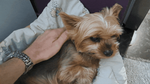 Angry Leave Me Alone GIF