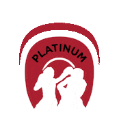 PlatinumMartialArts martial arts martialarts platinum martial arts platinummartialarts Sticker