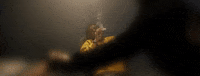 123 GIF by Smokepurpp