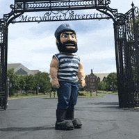 GIF by MercyhurstU