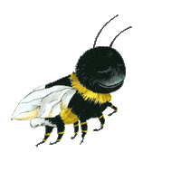 Tired Illustration Sticker by Humlan Djojj