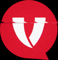 volqld volunteers volunteering vq volunteer love GIF