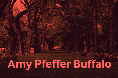 amypfefferbuffalo giphygifmaker amy pfeffer buffalo GIF