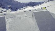 espn snow GIF by X Games 