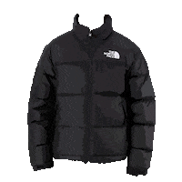 The North Face Sticker by Sportland Eesti
