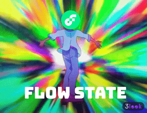 Go With The Flow Crypto GIF by Flow