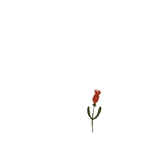 Flower Winter Sticker