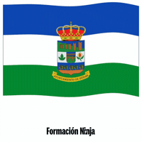 Flag Spain GIF by Formación Ninja