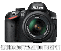 Nikoninstabadge D3200 Sticker by NikonIndia