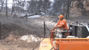 Fires Wildfires GIF by euronews