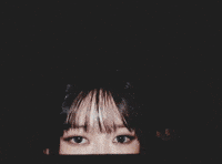 Meow Burning Up GIF