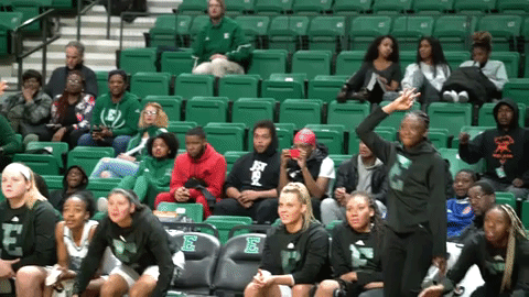 emueagles goeagles GIF by EMU Athletics