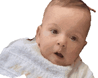 090822 Sticker by Camela Merchandising