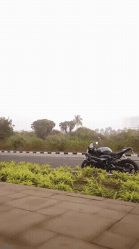 Scout GIF