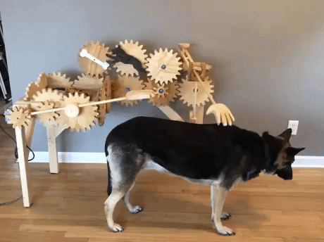 automatic dog petter GIF