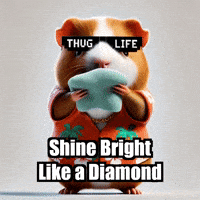 GIF by Guinea Gambino