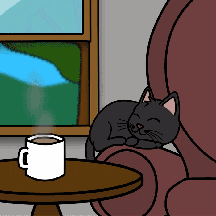 Melmoth_Azul black cat chat noir melmoth azul GIF