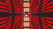 music festival art GIF by Bonnaroo Music and Arts Festival