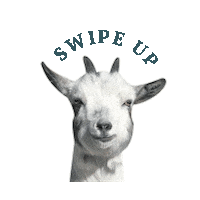 bendsoapco sticker sparkles goat milk soap bend soap company Sticker