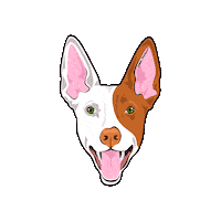 Dog Podenco Sticker by Patitas Barcelona