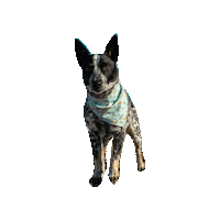 My Neighbor Totoro Ghibli Sticker by Geekster Pets