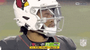Arizona Cardinals Ugh GIF by NFL