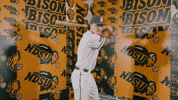 Baseball Bison GIF by NDSU Athletics