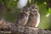 Art Ilove You GIF